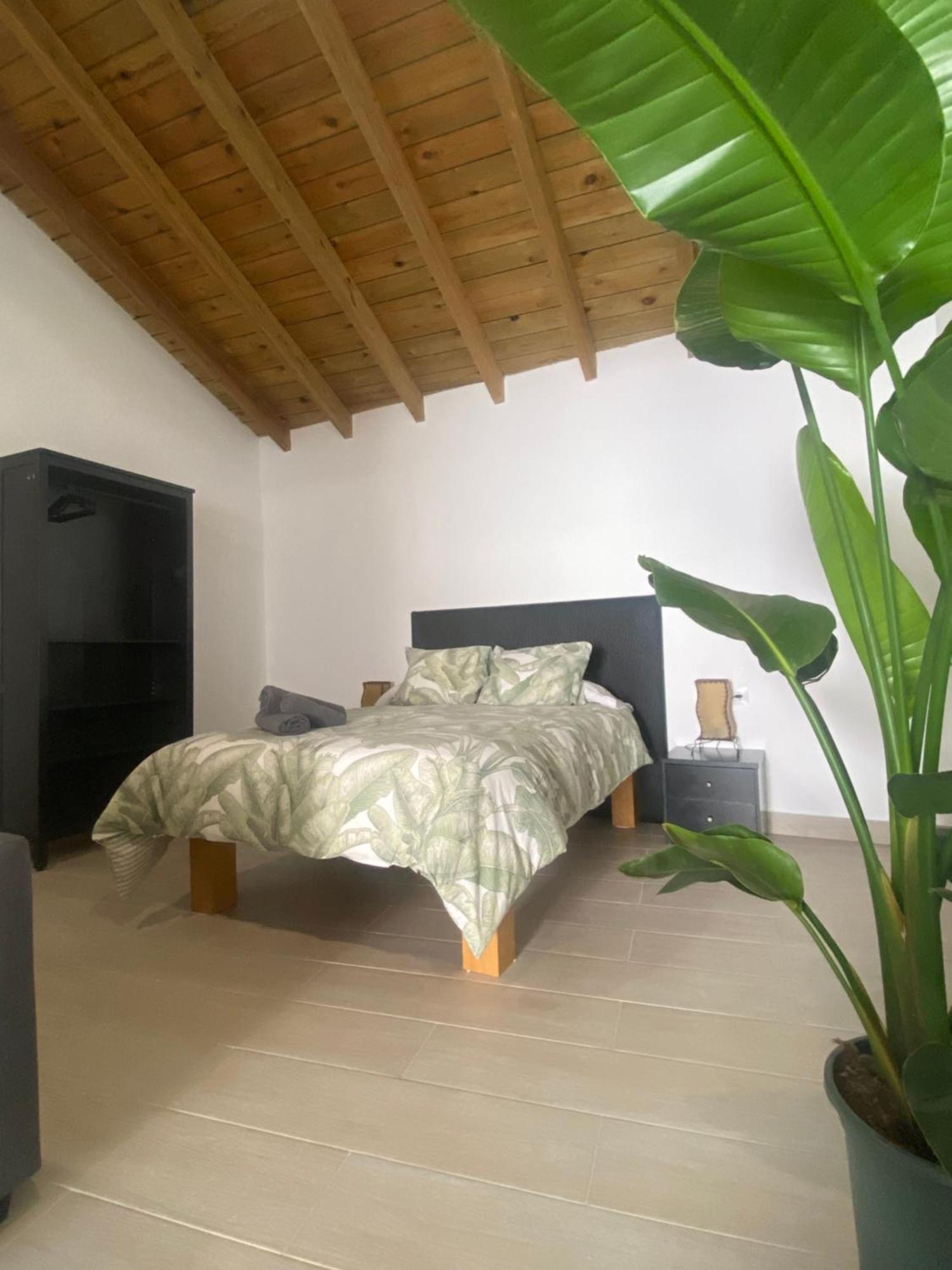 Apartamentos Algodonales Bagian luar foto